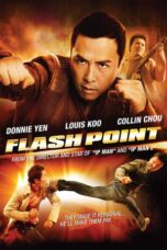 Flash Point (2007)