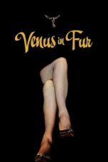 Venus in Fur (2013)