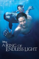 A Ring of Endless Light (2002)