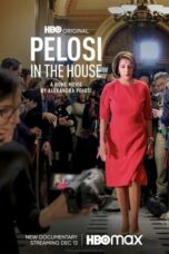 Pelosi in the House (2022)